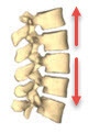Non-Surgical Spinal Decompression. Wellness22.com, West Hills, CA